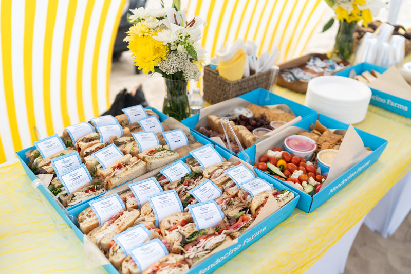 Two smiling women lounging on cushions and beach blankets enjoying a beach day in comfort.